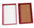 Scientific Color-Coded Slide Storage Box for slide storage, 25-Place, Red | HS15989C