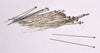 Precision Instructional Insect Pins, 5, Pack Of 100 for Biology Work | IPIN05-PK/100