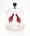 Laboratory Workflow-Specific Lung Apparatus for Biology Work | LUNG01-B