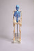 United Scientific® Human Skeleton Model With Fold-Out Guide | MASKE1