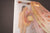 Workflow-Specific See-Through Sally™ Human Anatomy Display | SEETHS1