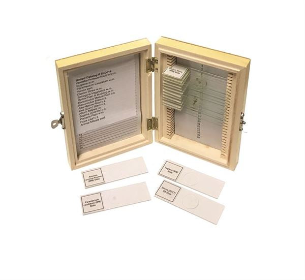 Industrial Laboratory Application-Specific Biology Prepared Slide | SLD016