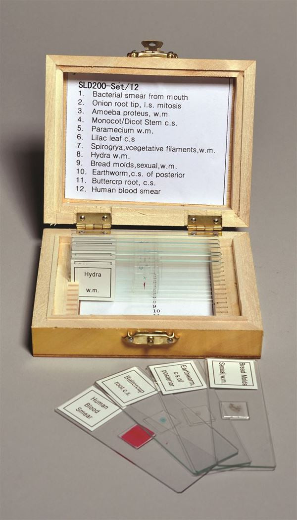 Heavy-Duty Instructional Biology Prepared Slide Set, 12 Slides for Bio... | SLD200-SET/12