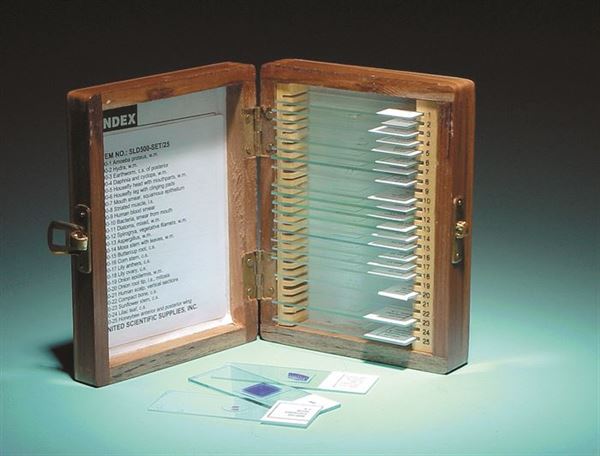 Research-Grade Application-Specific Prepared Slide Set, 25 Slides for ... | SLD500-SET/25