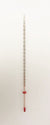 Precision Workflow-Specific Thermometer, Red Liquid, 12, Total Immersion | THTC02
