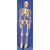 Technical Bench-Ready Human Skeleton Model, 85cm | HSKL85