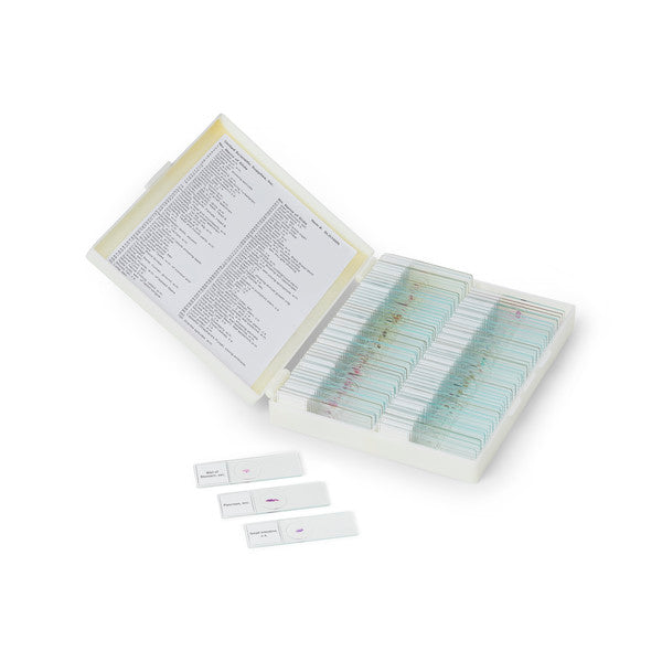Precision Workflow-Specific Prepared Slide Set, 100 Slides for Microscope Sl... | SLD100N