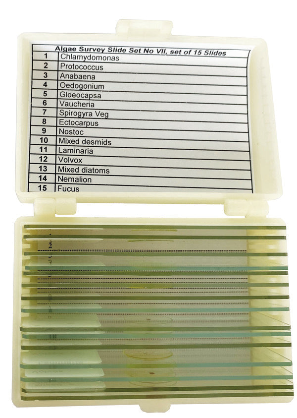 Scientific Application-Specific Algae Survey Slide for Microscope Slides Work | UNSLALGE15