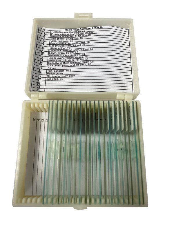 Scientific Instructional Basic Plant Anatomy Slide for Microscope Slides Work | UNSLPLNT20